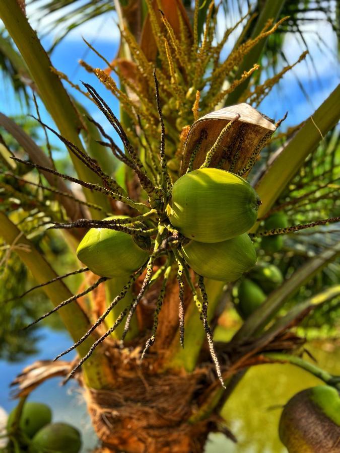 Twocans Resort Kohmak - Sha Ко Мак Екстериор снимка